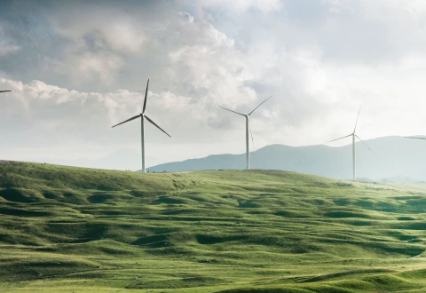 For the Greener Future: How IoT is Driving Energy Efficiency and Sustainability